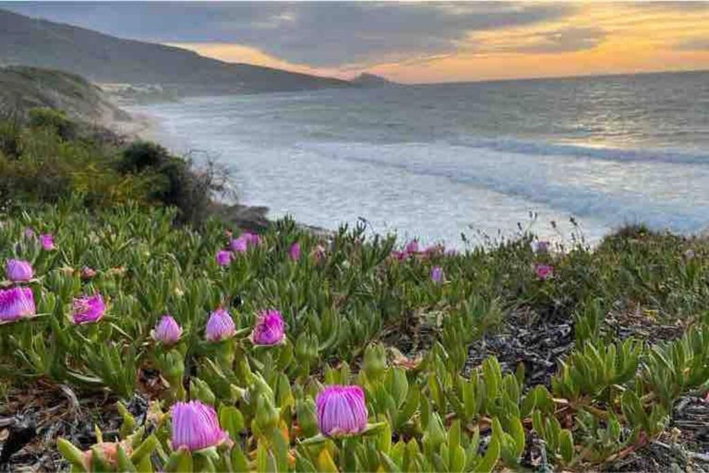 Charming Apartment With Parking, Mountain View, Close To The Beach Santa Maria Εξωτερικό φωτογραφία